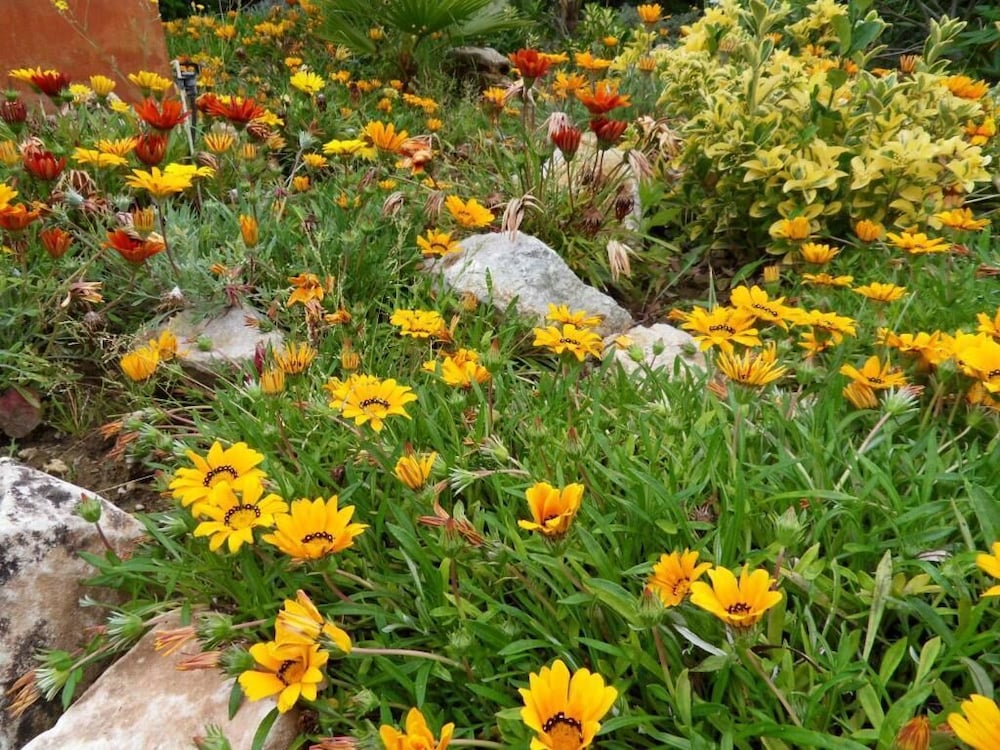 Фото Bed & Breakfast Casa don Carlos