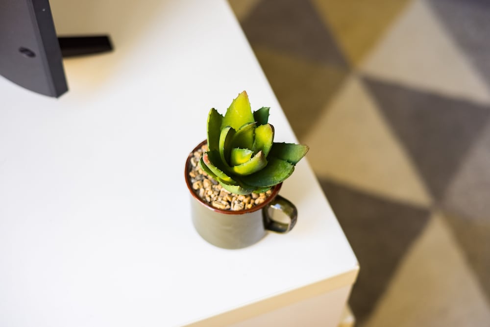 Фото The Whitecross Street Collection