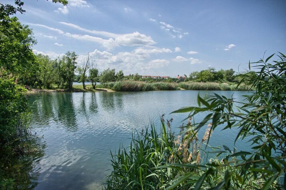 Фото Dresdner-Tag Rosenherz