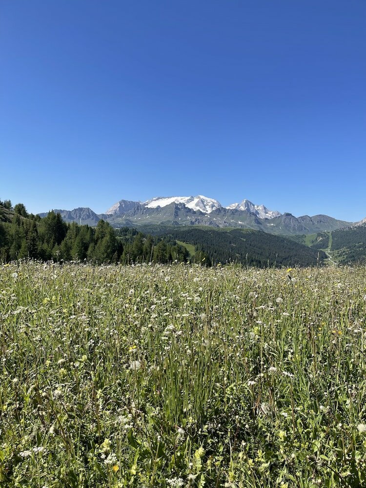 Фото Residence Bondi