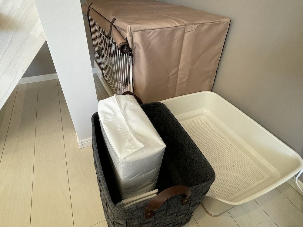 Фото Mt. Fuji koko wantyanOK sintikubessō