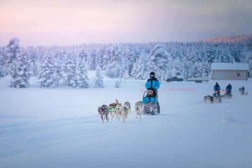 Гостиница Wilderness Hotel Inari & Igloos в Лапландии