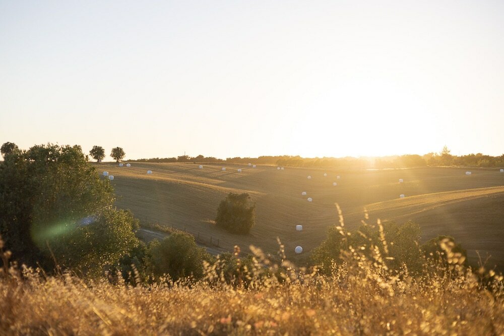 Фото Sleep & Nature Hotel