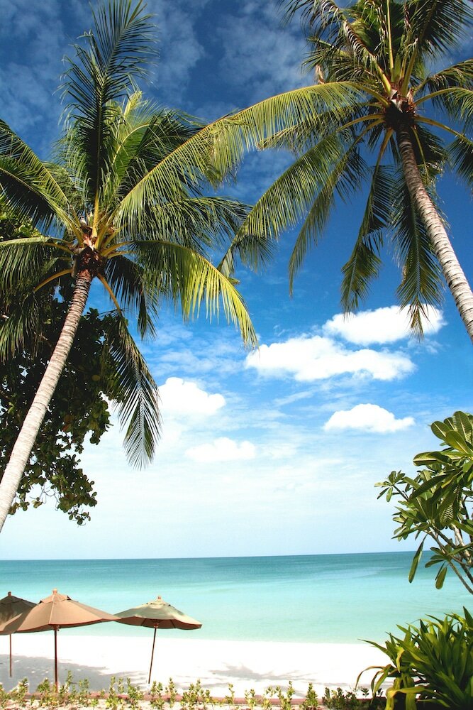 Фото Buri Rasa Village Samui