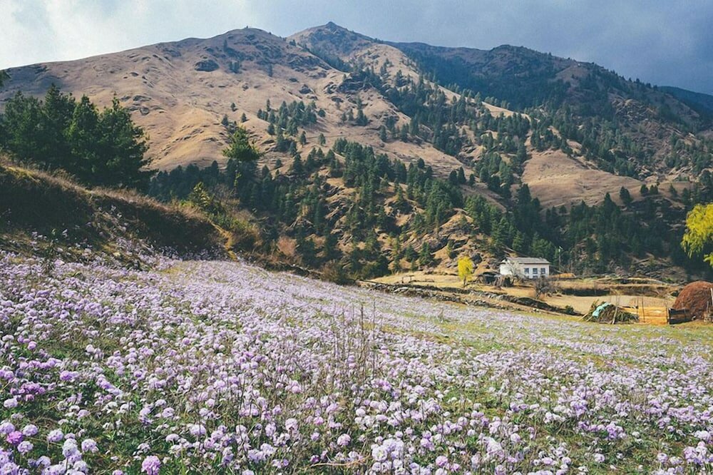 Фото Kyirmu Lodge Phaplu