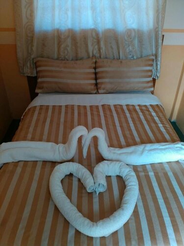 Гостиница Coconut Palm Hotel