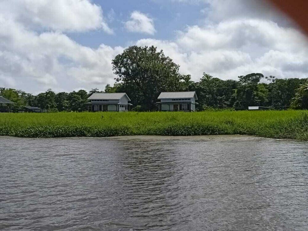 Фото Koffiemama Tree B&b