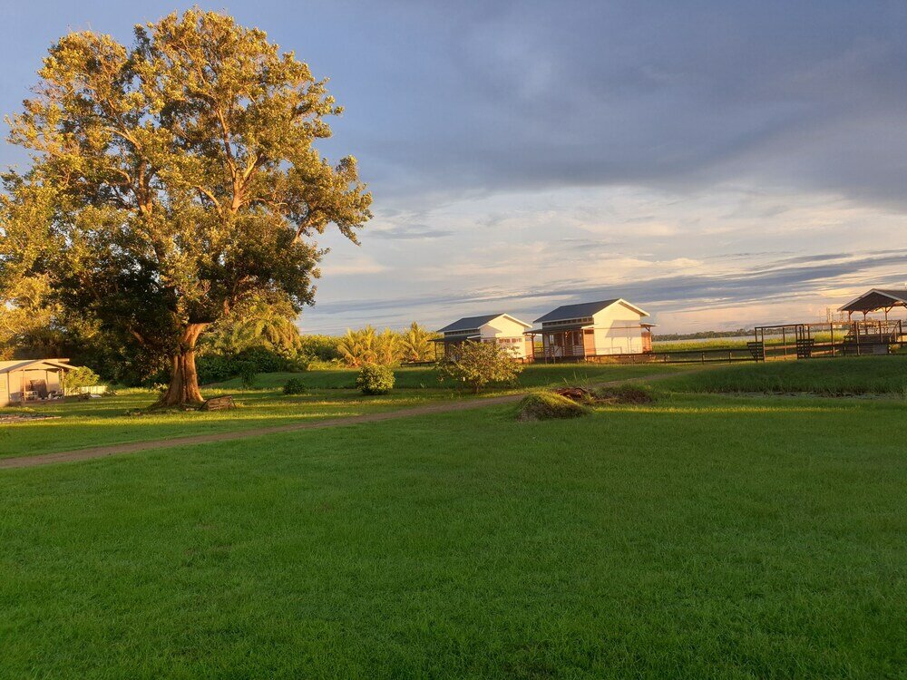 Фото Koffiemama Tree B&b