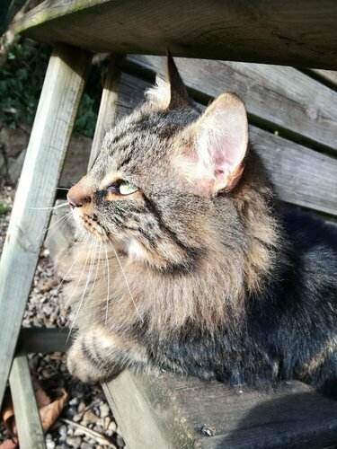 Гостиница Mon Petit Soulié в Лиму