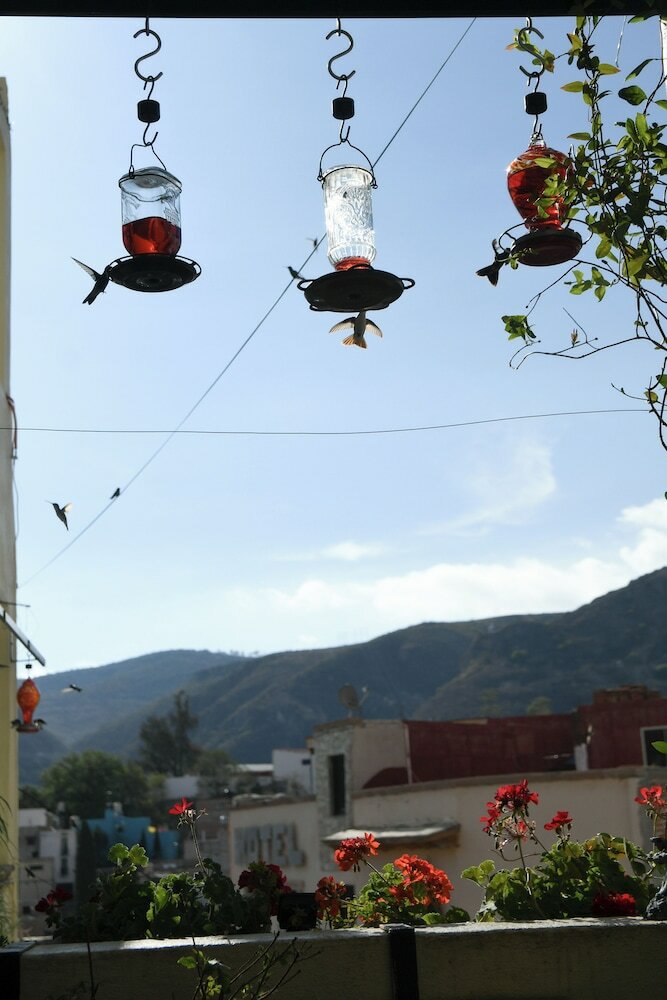 Фото Casa Santa Fe, Guanajuato
