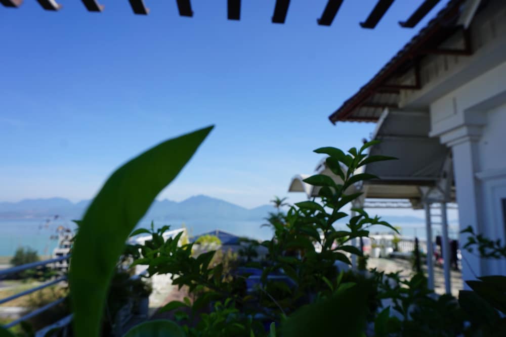 Фото Ocean View Danang Hotel