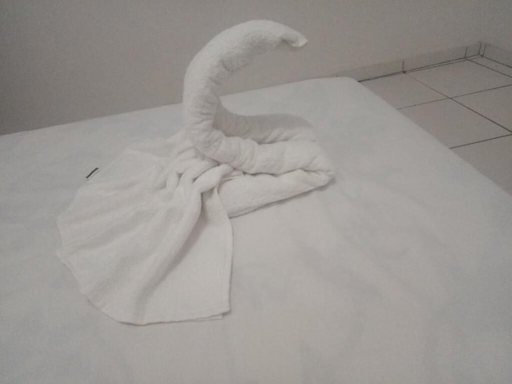 Фото Pousada Bela Vista de Mateiros