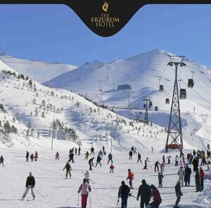 Гостиница The Erzurum Hotel