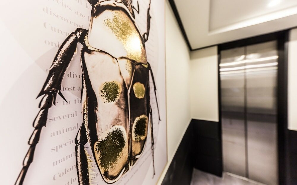 Фото Shinchon Hotel Ludi