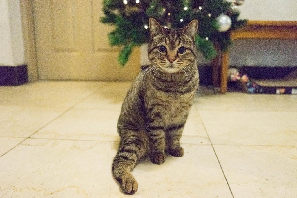 Фото Beewon Guest House - Hostel