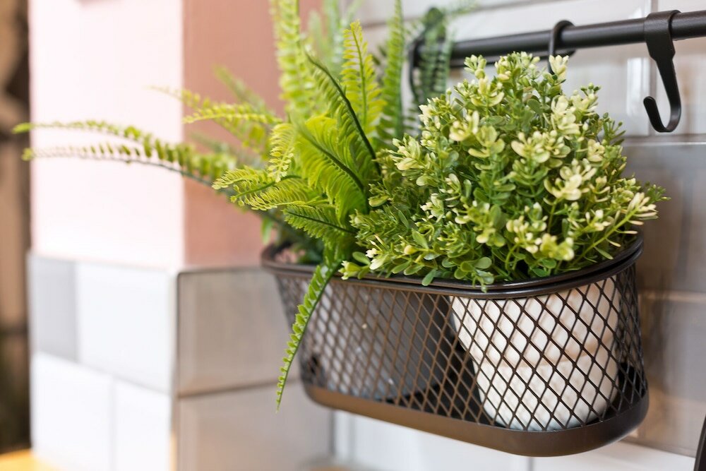 Фото Malleus House