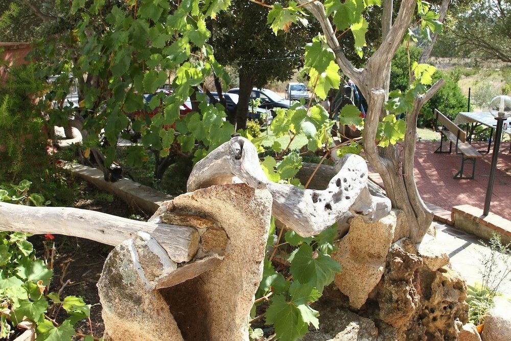 Фото Agriturismo B&b Sa Inza