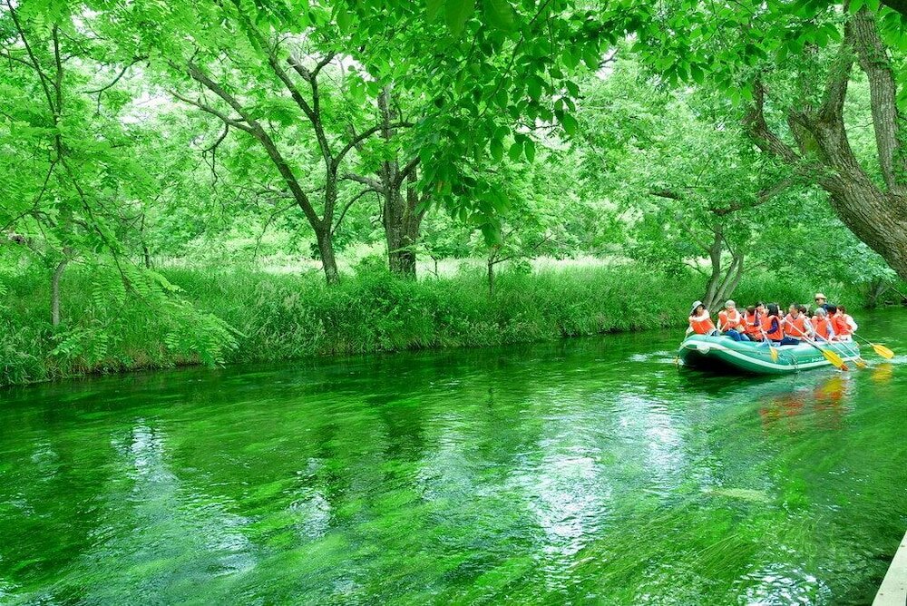 Фото Kongoji Syukubo Seihoin