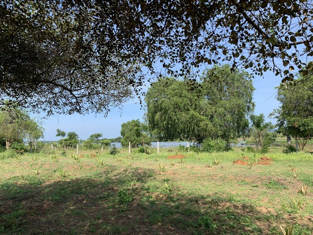 Фото Thihawa Eco Huts Yala