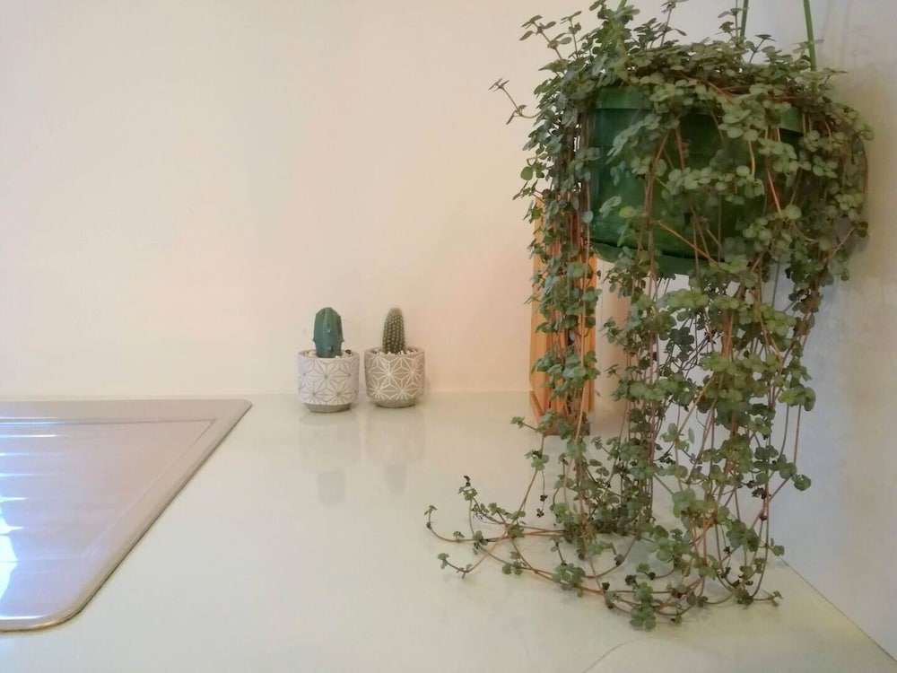 Фото Charming Euston Apartments