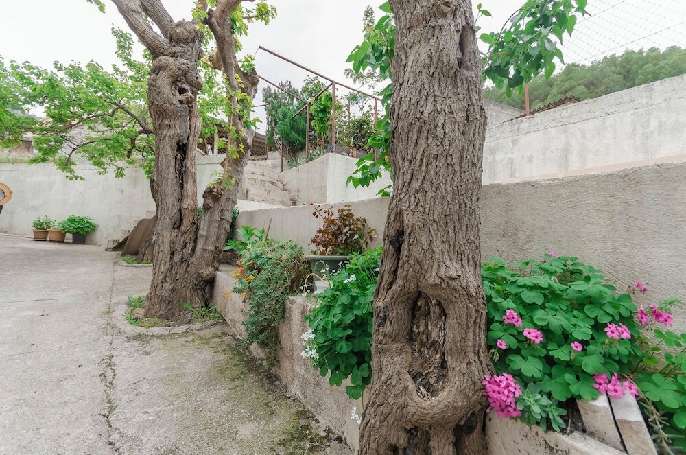 Фото Apartments Up and Down