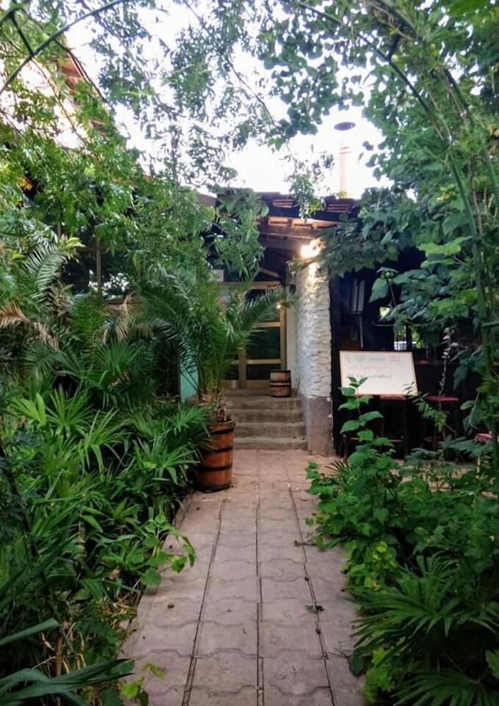 Фото Hair of the Dog Hostel