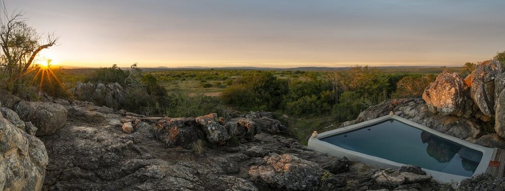 Фото Shamwari Explorer Camp