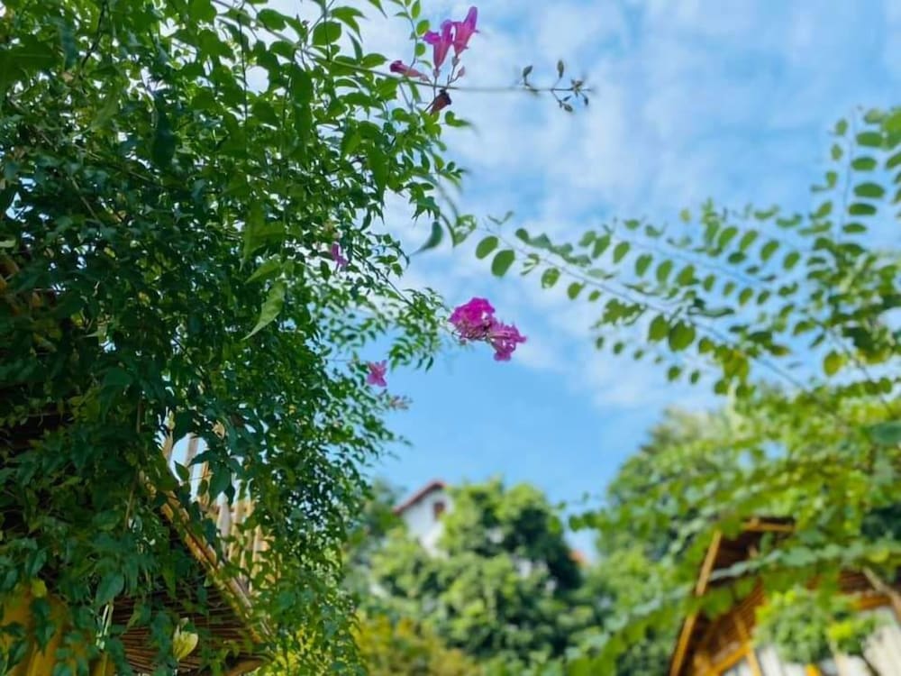 Фото Little Bee House