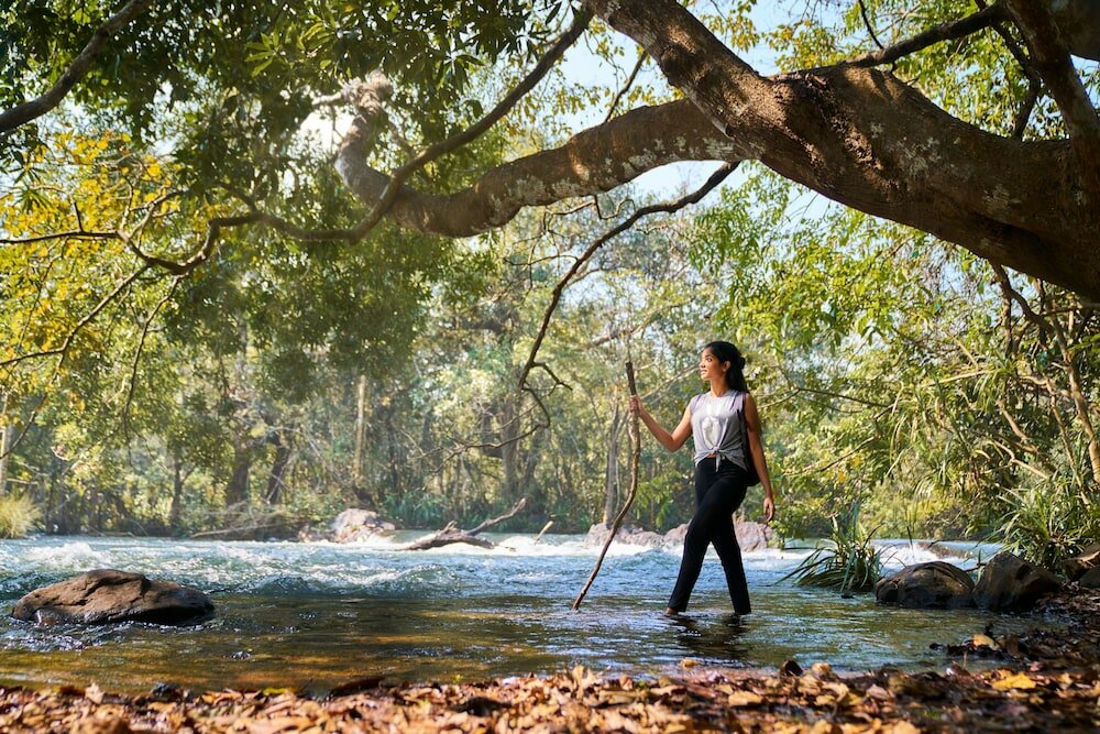 Фото Whistling Woodzs Resort