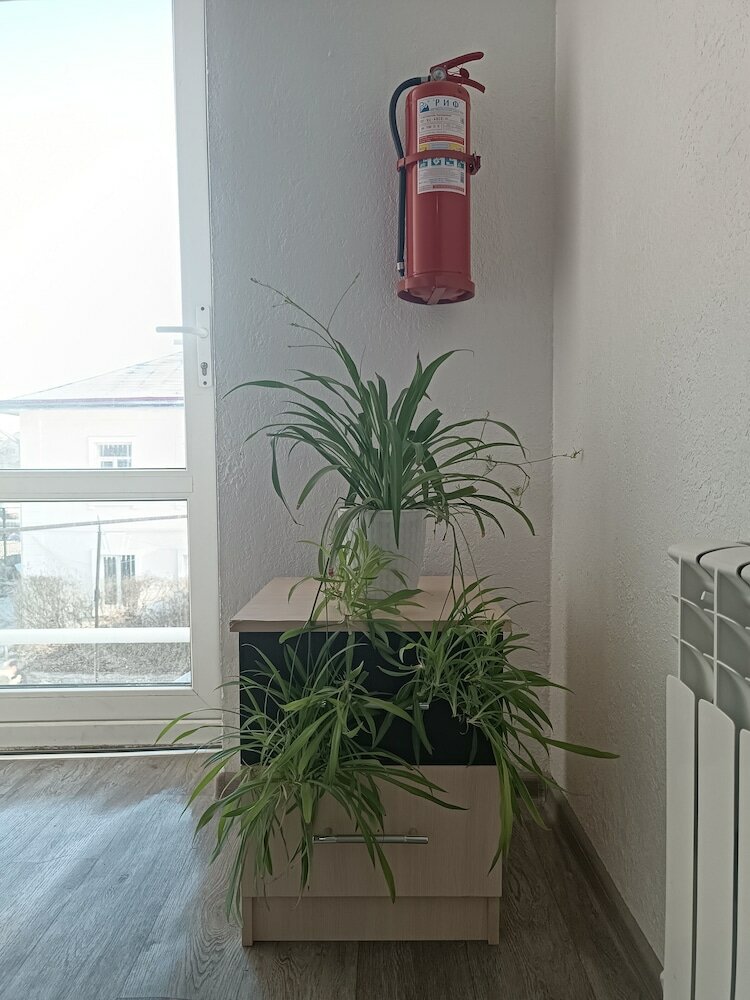 Фото Гостевой дом Nomad Inn