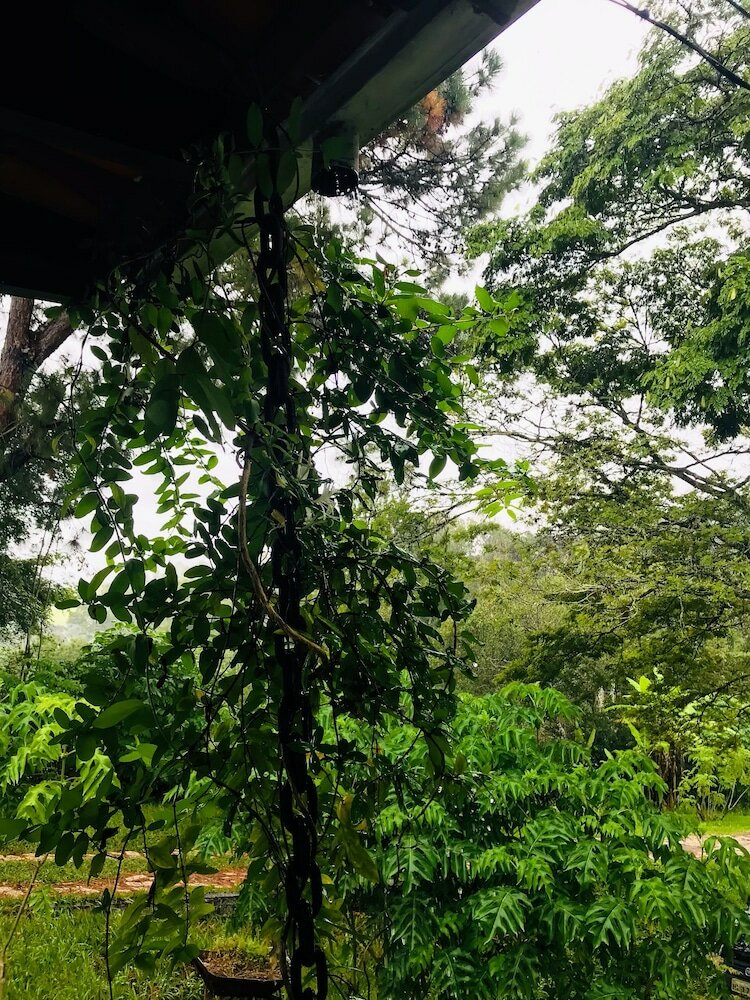 Фото Pousada canto do Sabiá