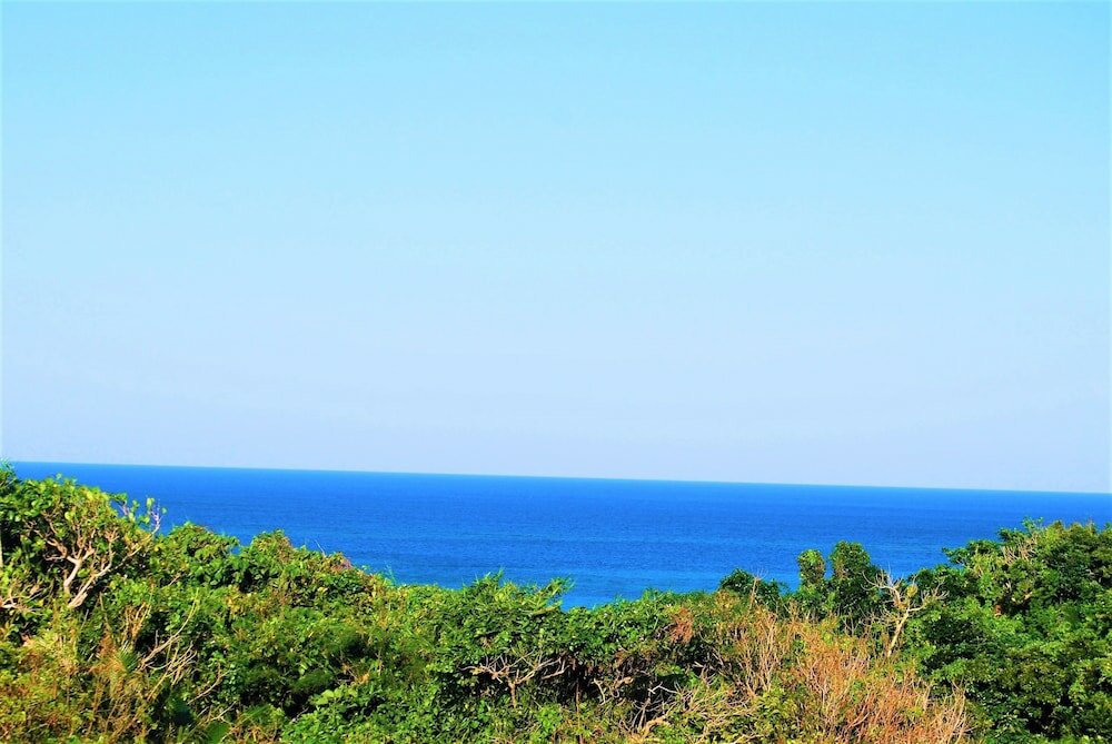 Фото Cocoro Malolo