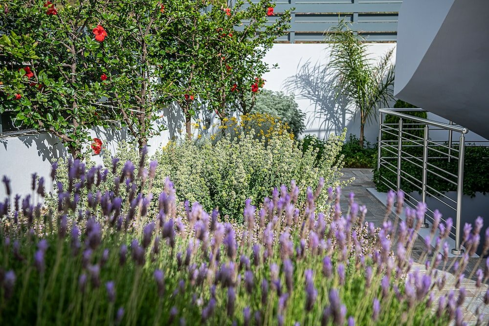 Фото Sunset Elafonisi Apartments