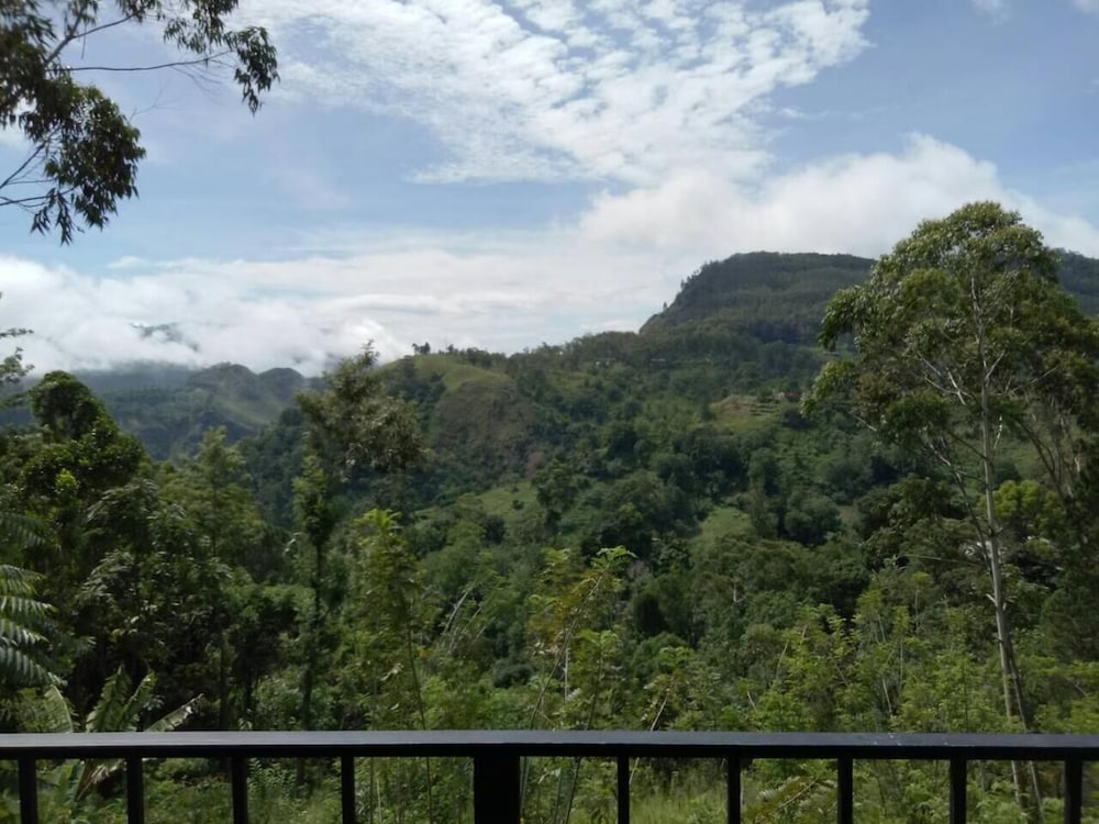 Фото Cloudy Hill Cottage