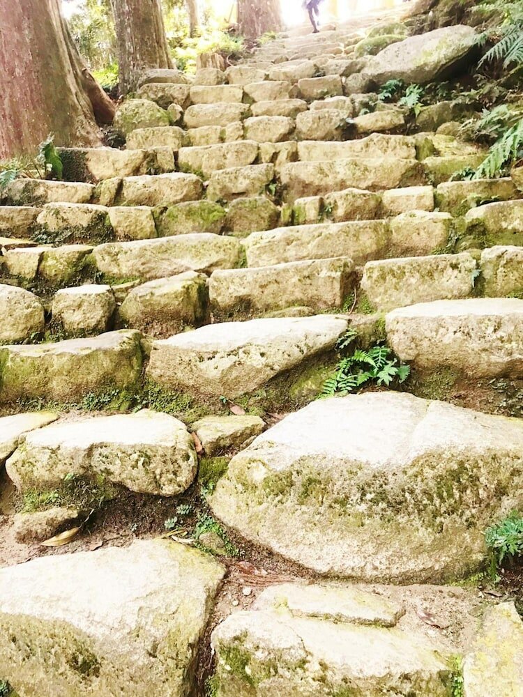 Фото Guest House Branchee