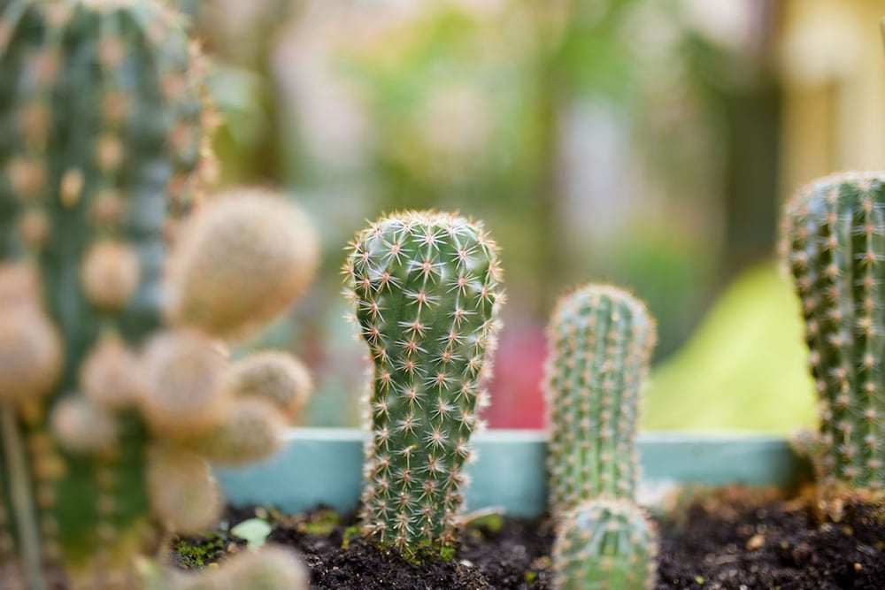 Фото Romeo Giulietta Rooms Apartments Turkish Bath