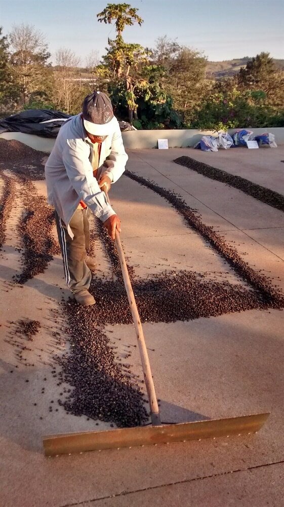 Фото Hirondelle Paraíso