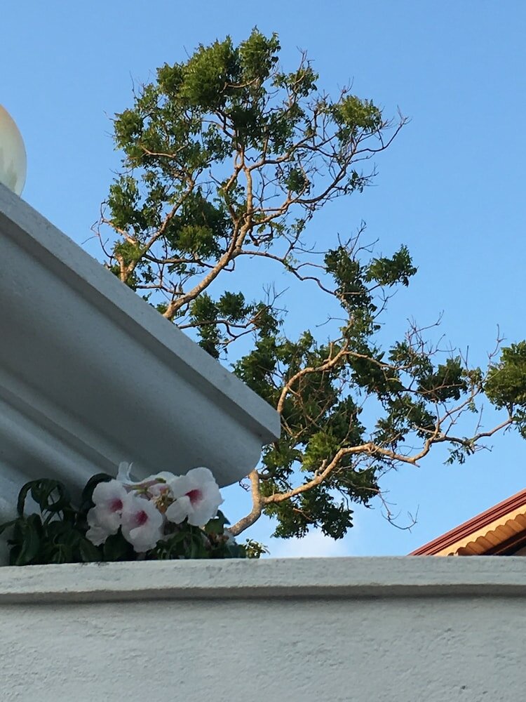 Фото Silence Garden