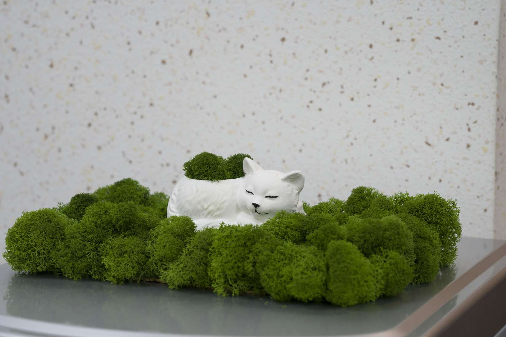 Фото Гостиница Нева