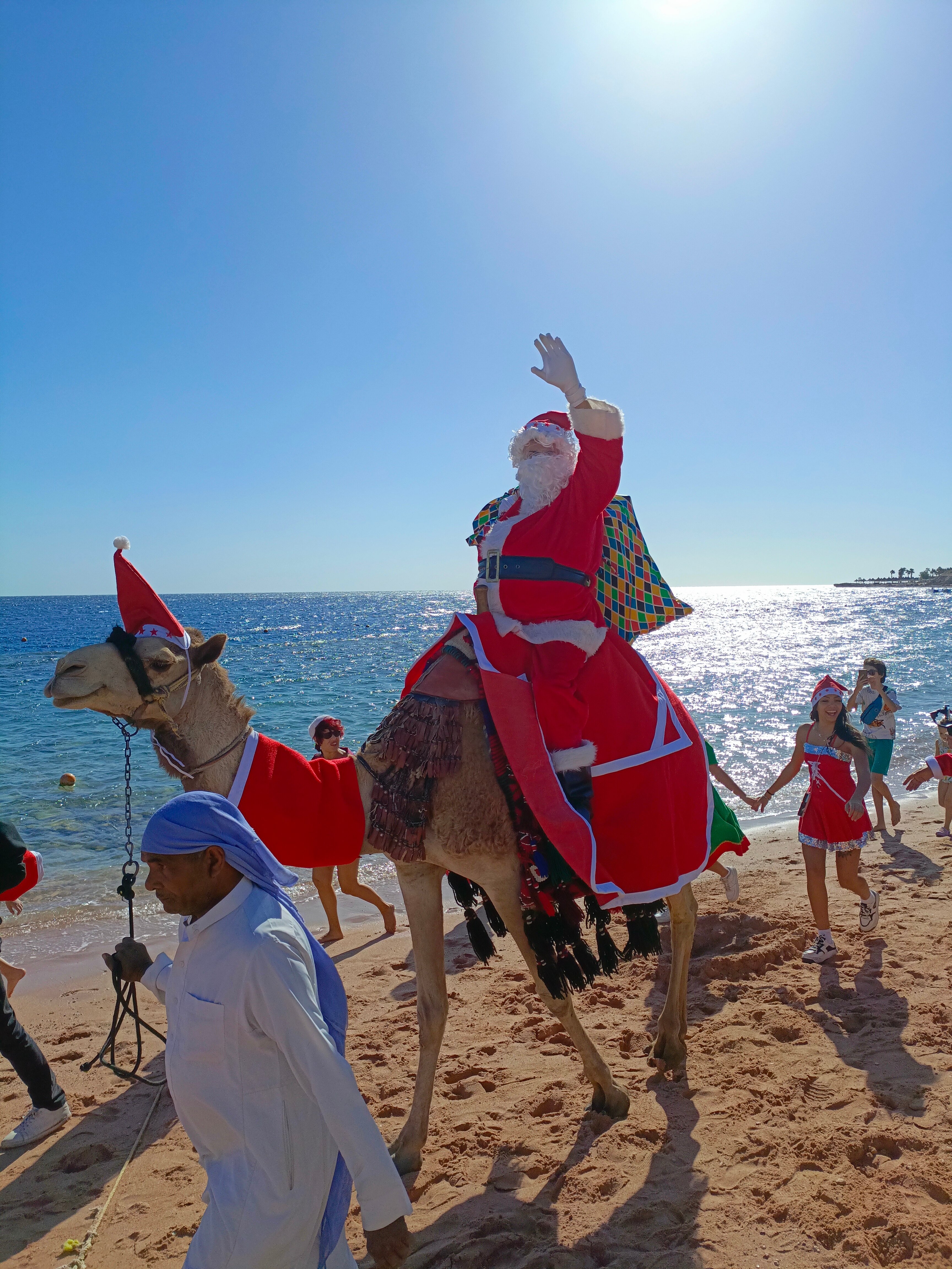 Фото Domina Coral Bay Oasis