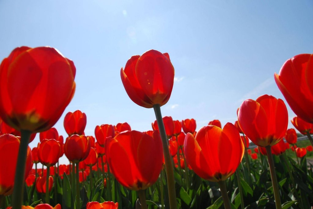 Фото Van Der Valk Hotel Akersloot