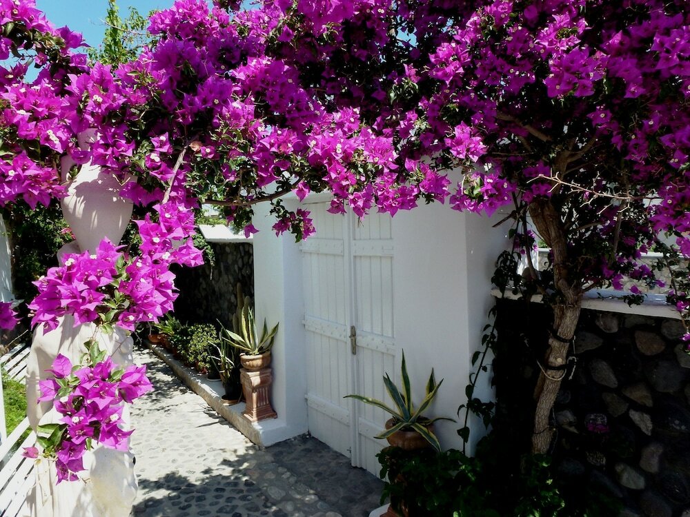 Фото Bougainvillea Suites