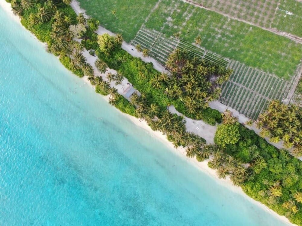 Фото Thila Farm View Guest House