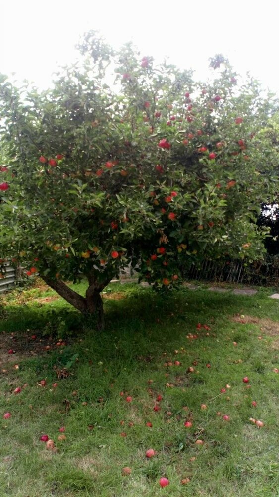 Фото Worcester Town Centre Home & Garden