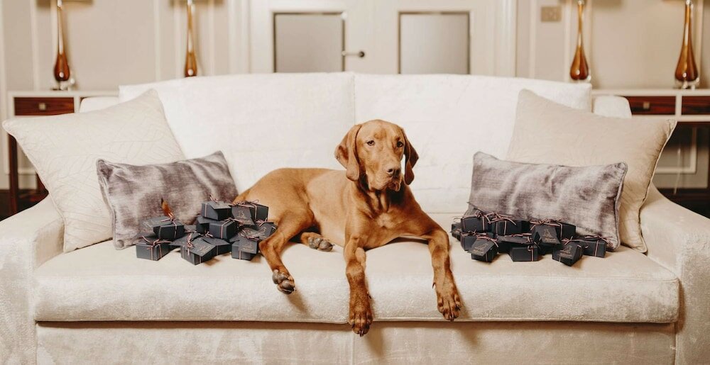 Фото Grand Hotel Kempinski