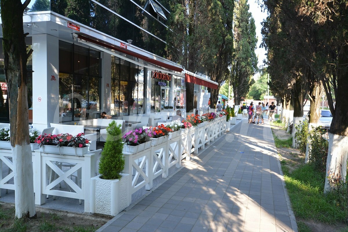 Фото Джунгли у моря