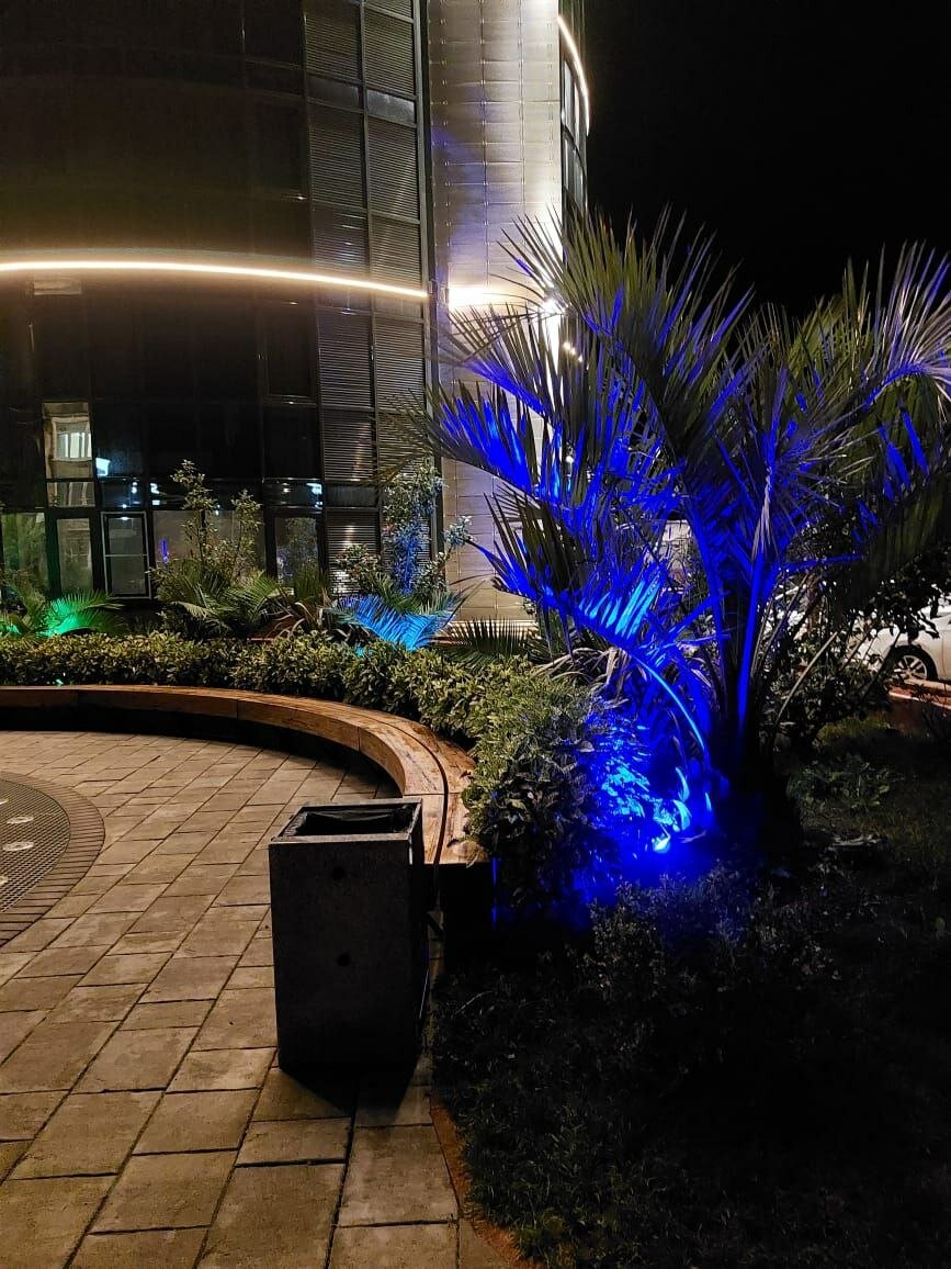 Фото Студия Лофт