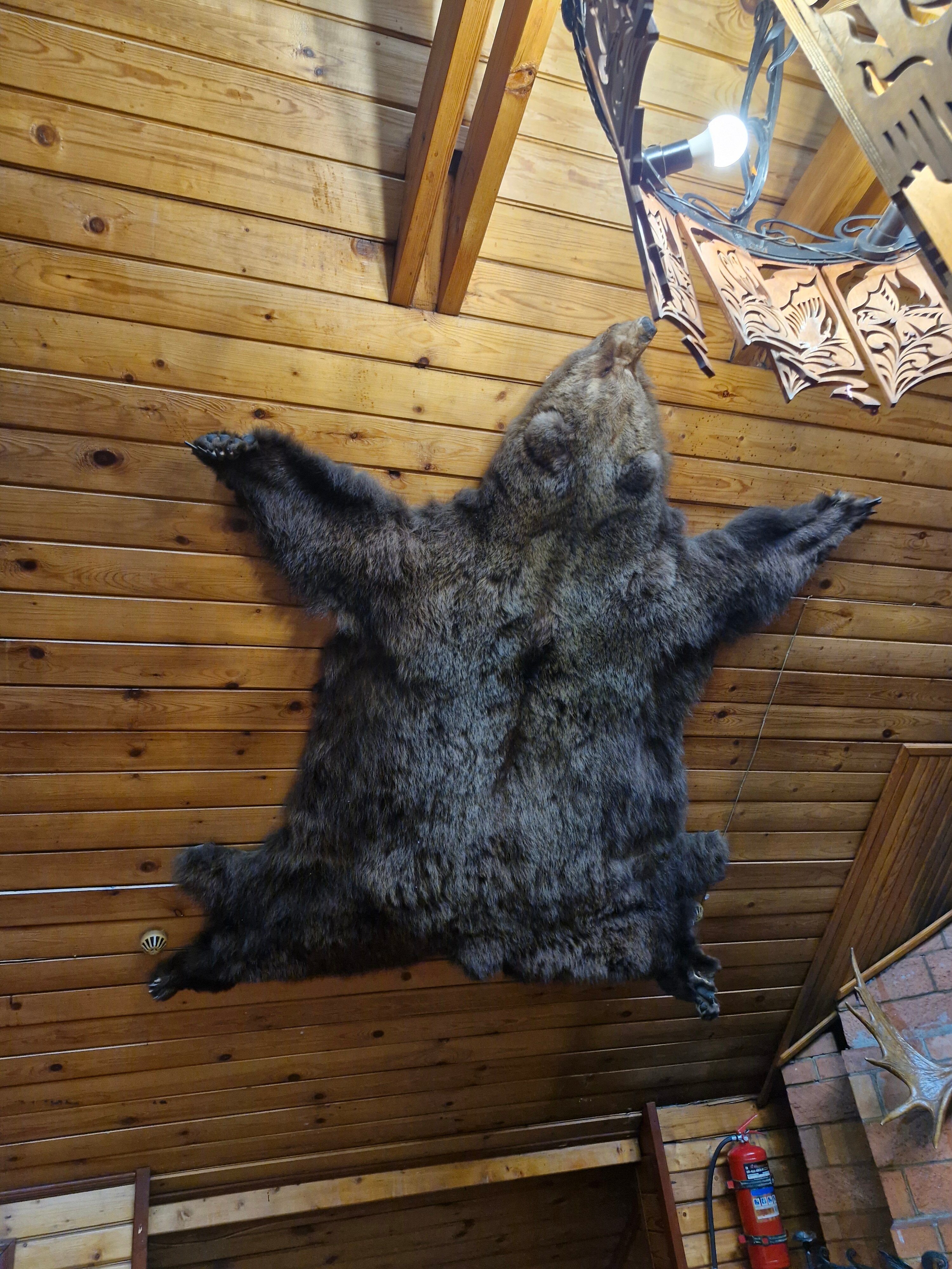 Фото Чёрное и белое