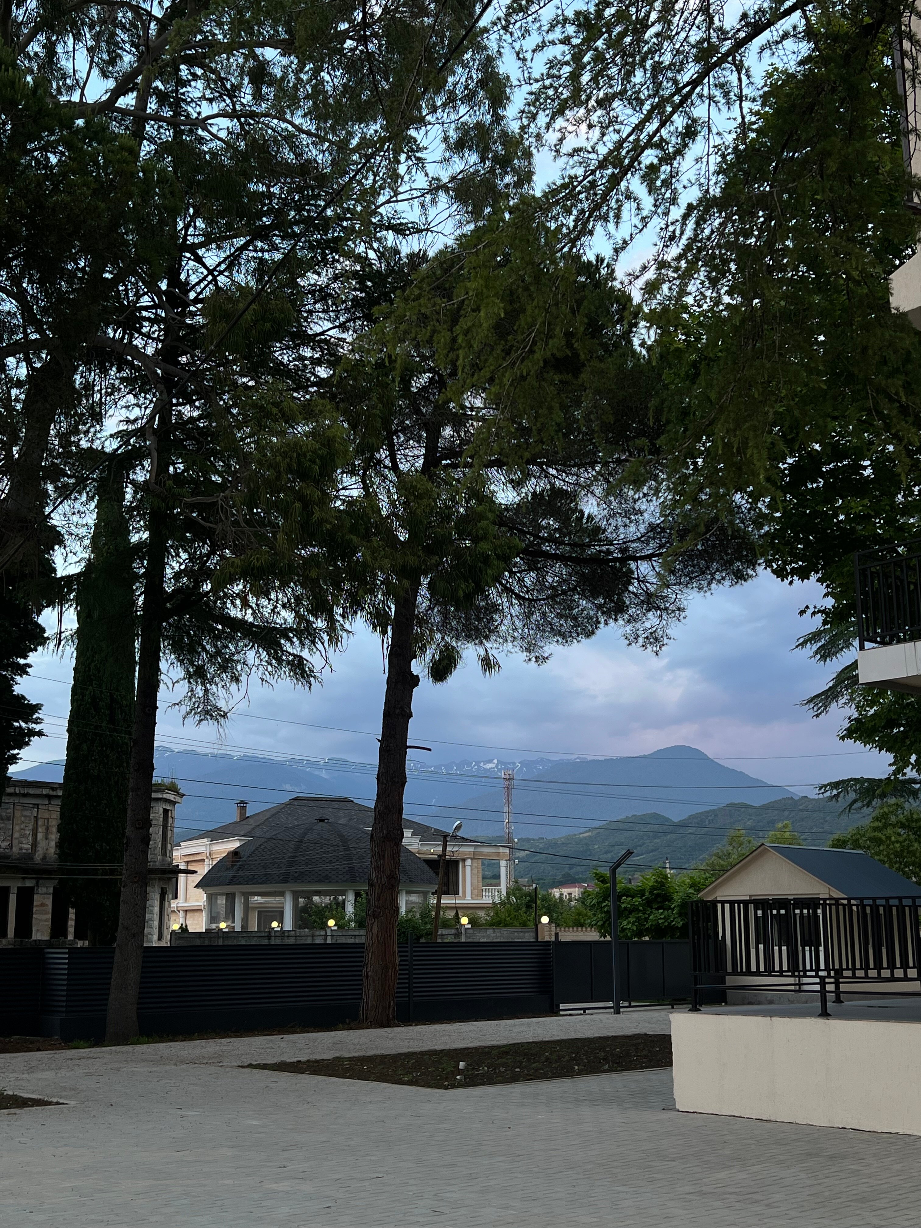 Фото Шоколад