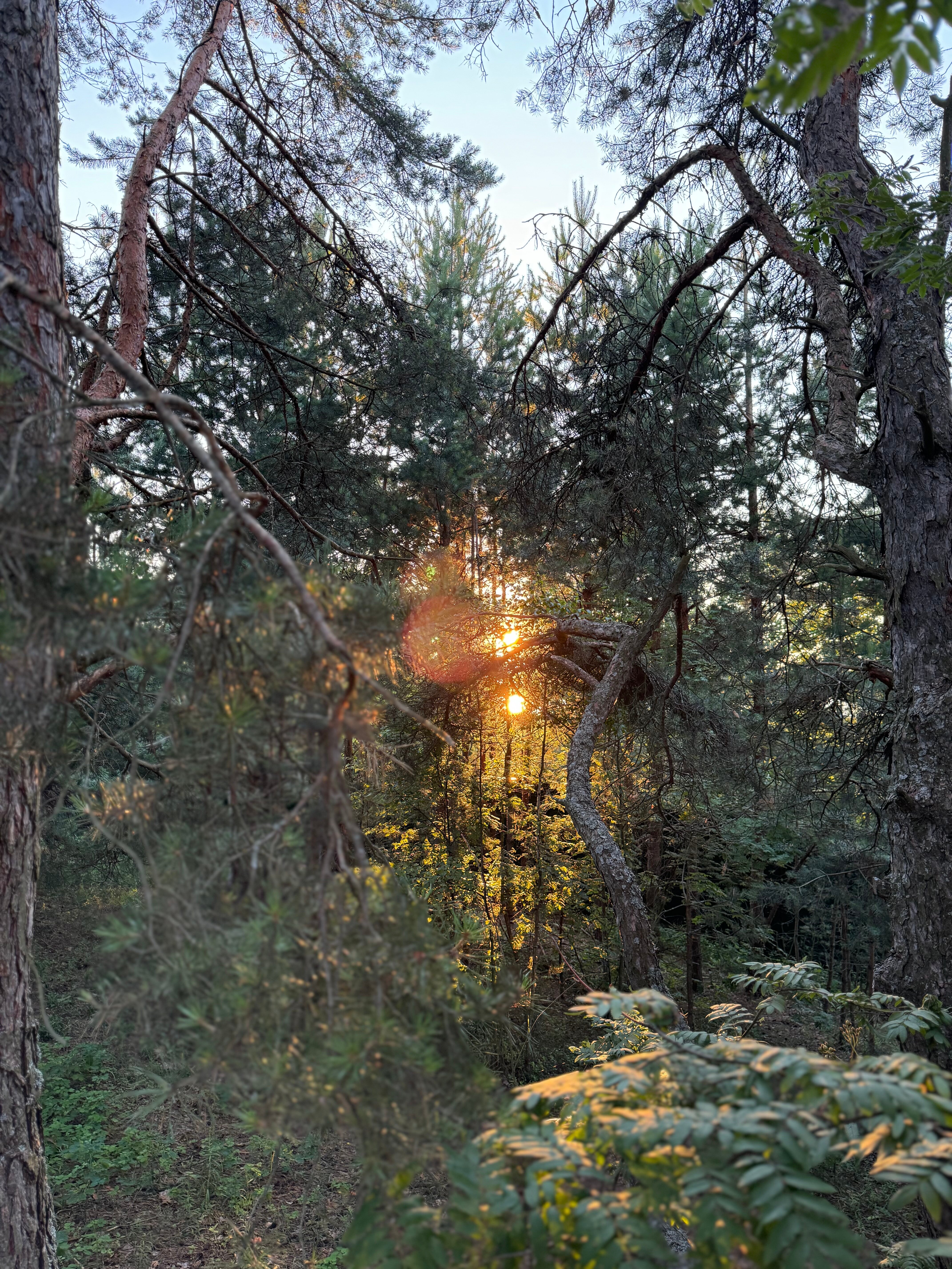 Фото Мишкино